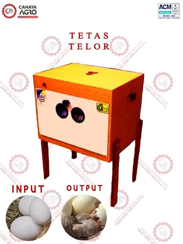 MESIN TETAS TELUR CA-P-TT-100