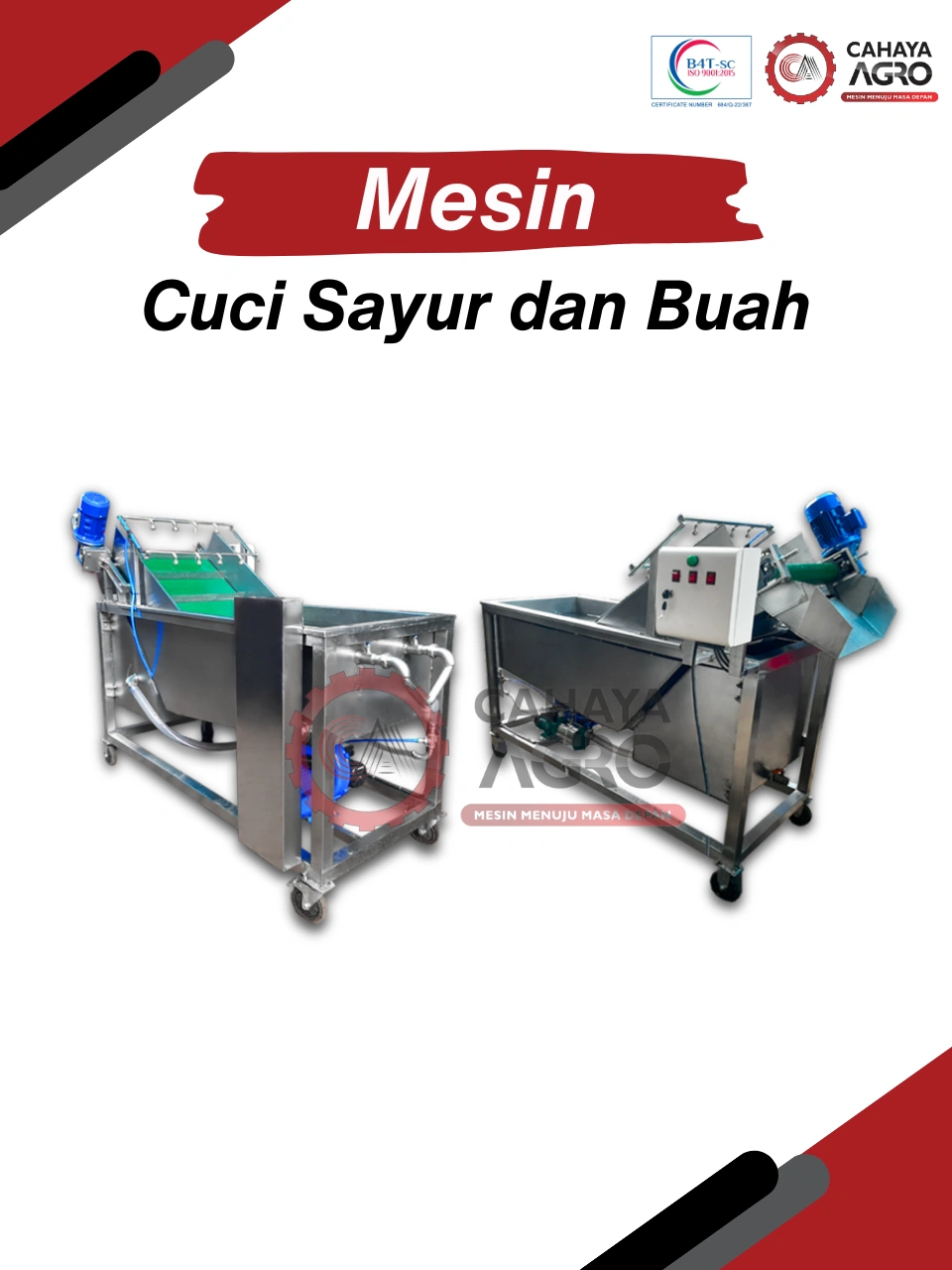 MESIN PENCUCI SAYUR DAN BUAH CA-PP-PSB-100