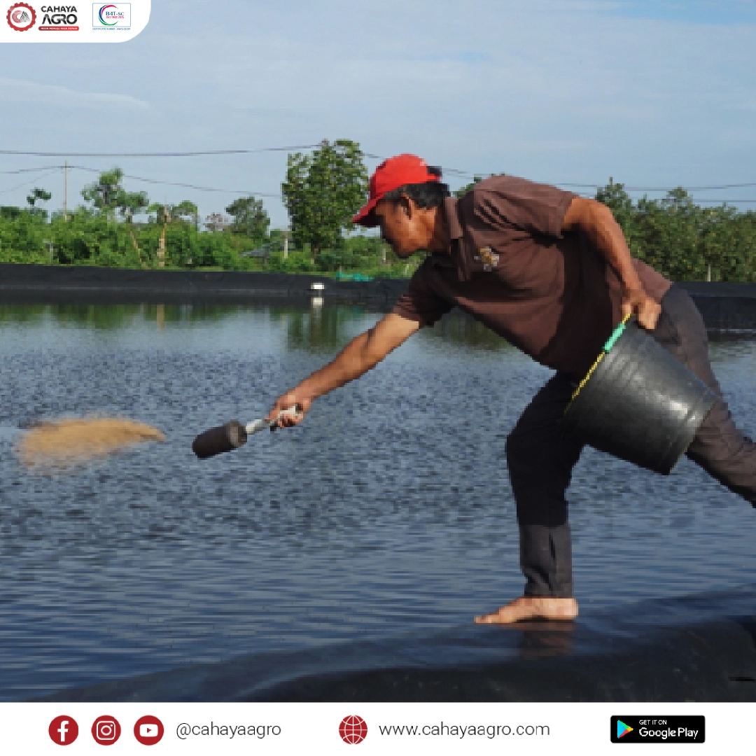 Bisnis Pakan Ikan: Peluang dan Langkah Memulainya