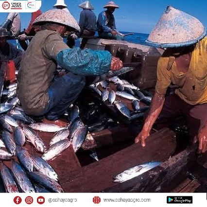 Mengoptimalkan Budidaya Perikanan: Teknologi Efisien dan Ramah Lingkungan