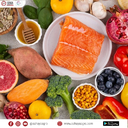 Makanan Fungsional: Tren dan Peluang untuk UMKM