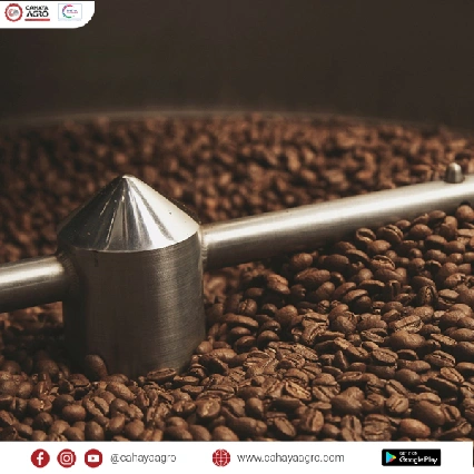 Mesin Sangrai Kopi: Teknologi Terbaru untuk Aroma dan Rasa yang Optimal