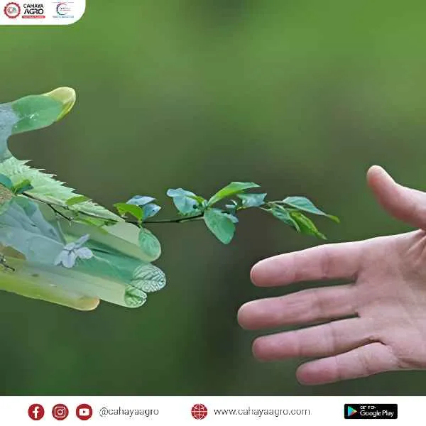 Strategi Bisnis Berkelanjutan: Meningkatkan Profit Tanpa Merusak Lingkungan