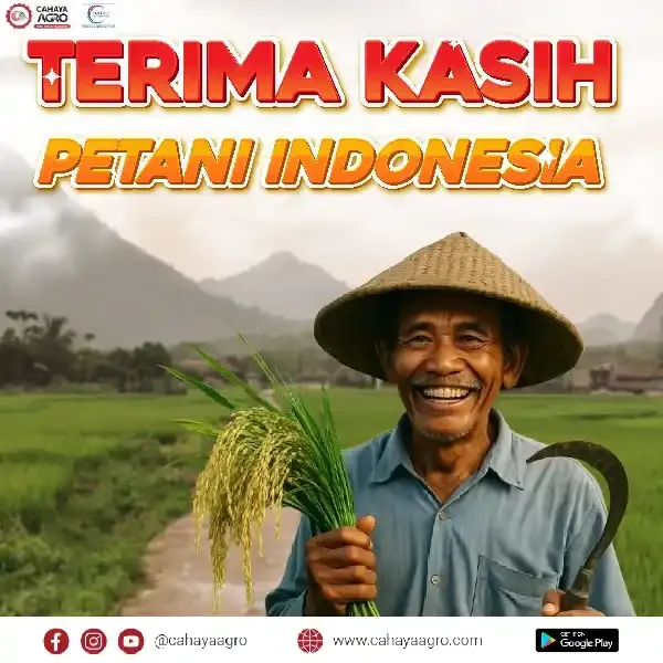 Terima Kasih, Petani Indonesia: Pahlawan Pangan yang Tak Pernah Padam