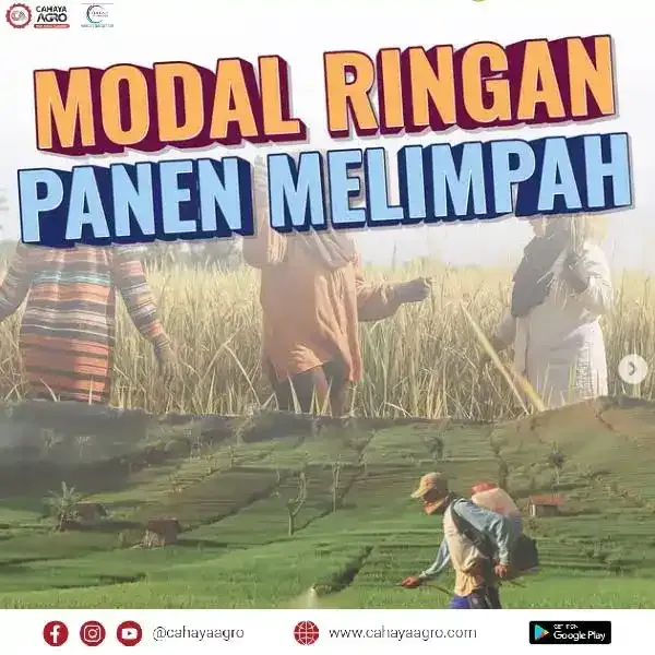 Menuju Pertanian Modern! Dulu, petani harus menunggu bantuan untuk punya alat sendiri. Sekarang, lewat Kredit Alsintan, petani bisa mandiri, produktif, dan naik kelas