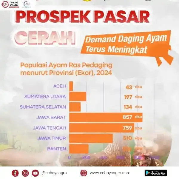 LAHIRKAN PETERNAK MANDIRI: KUASAI PASAR AYAM DENGAN KEMANDIRIAN BIBIT!
