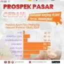 LAHIRKAN PETERNAK MANDIRI: KUASAI PASAR AYAM DENGAN KEMANDIRIAN BIBIT!