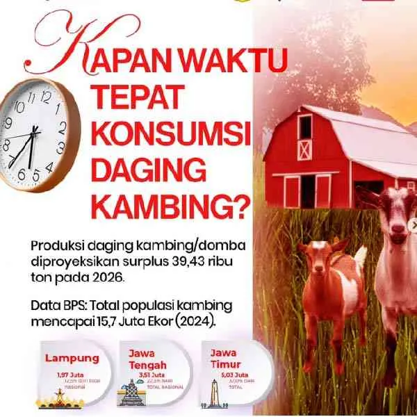 HARUSKAH KITA PUAS JADI EKSPORTIR BIJI MENTAH? Saatnya Indonesia Naik Kelas dalam Industri Kopi