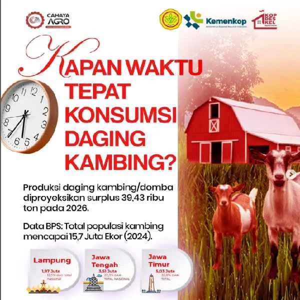 KAPAN WAKTU TEPAT KONSUMSI DAGING KAMBING?
