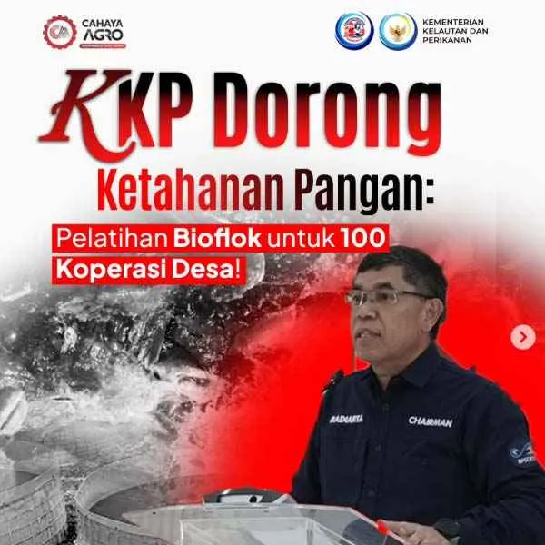 Bioflok Desa Jadi Tulang Punggung Ekonomi Biru: KKP Dorong Kemandirian Pangan & Usaha Rakyat