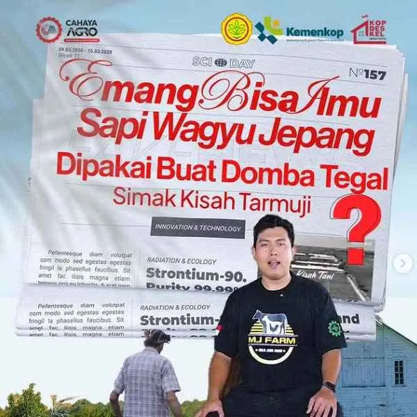Dari Wagyu Jepang ke Domba Tegal: Inovasi Pakan yang Mengubah Wajah Peternakan Lokal