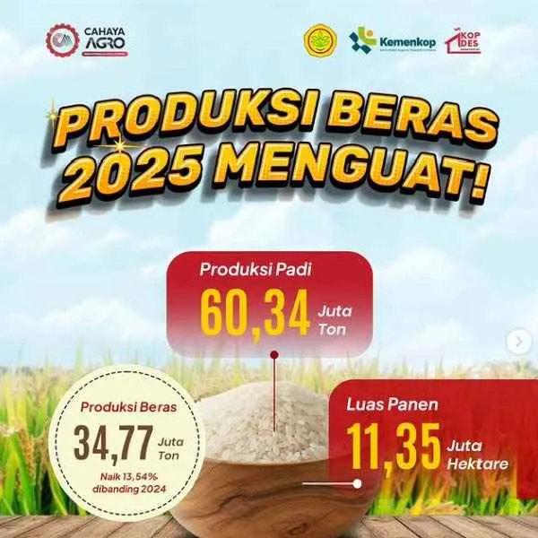 Produksi Beras Nasional 2025 Melonjak, Indonesia Kian Dekat Swasembada Pangan