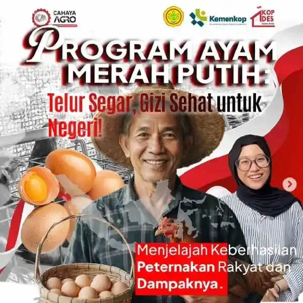 Ayam Merah Putih, Kunci Mandiri Pangan dan Gizi Anak Indonesia