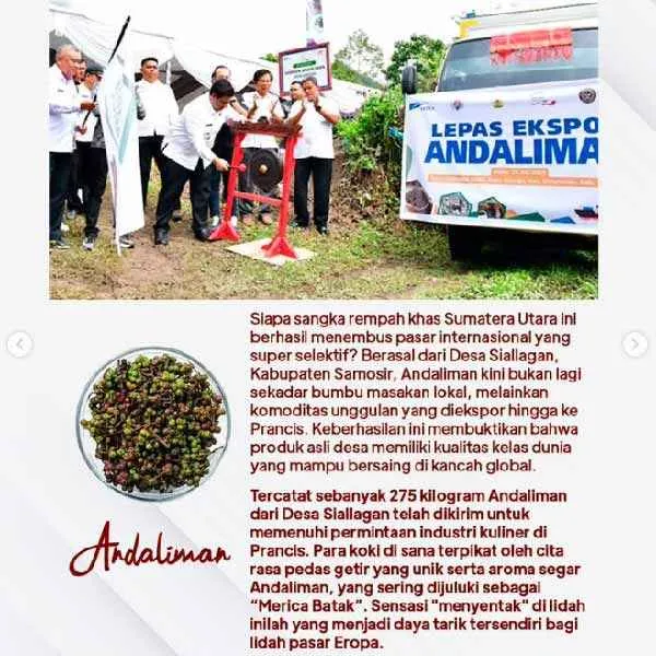Andaliman Mendunia, Rempah Khas Sumatera Utara Tembus Pasar Prancis