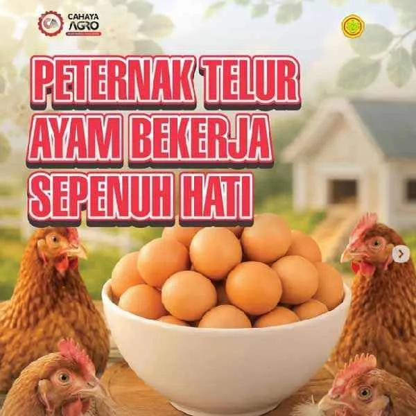 Peternak Kuat, Pangan Indonesia Hebat: Menjaga Ketahanan Pangan dari Kandang hingga Meja Makan