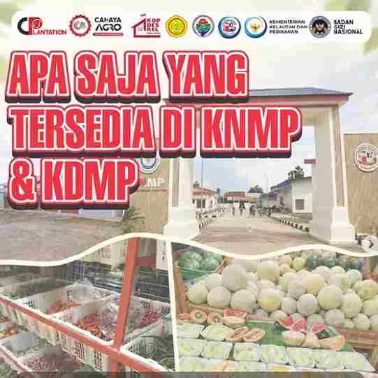 KNMP & KDMP Perkuat Petani, Peternak, dan Nelayan Indonesia untuk Mendukung Program Makan Bergizi Nasiona