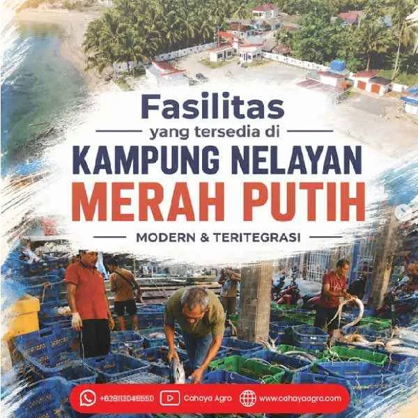 Wajah Baru Pesisir Indonesia: Kampung Nelayan Merah Putih Menuju Pesisir Modern dan Sejahtera