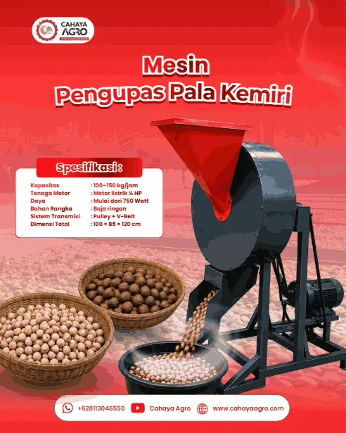 Investasi Tepat Guna UMKM Pengupas Pala dan Kemiri: Hemat Waktu dan Tenaga dengan Mesin Pengupas