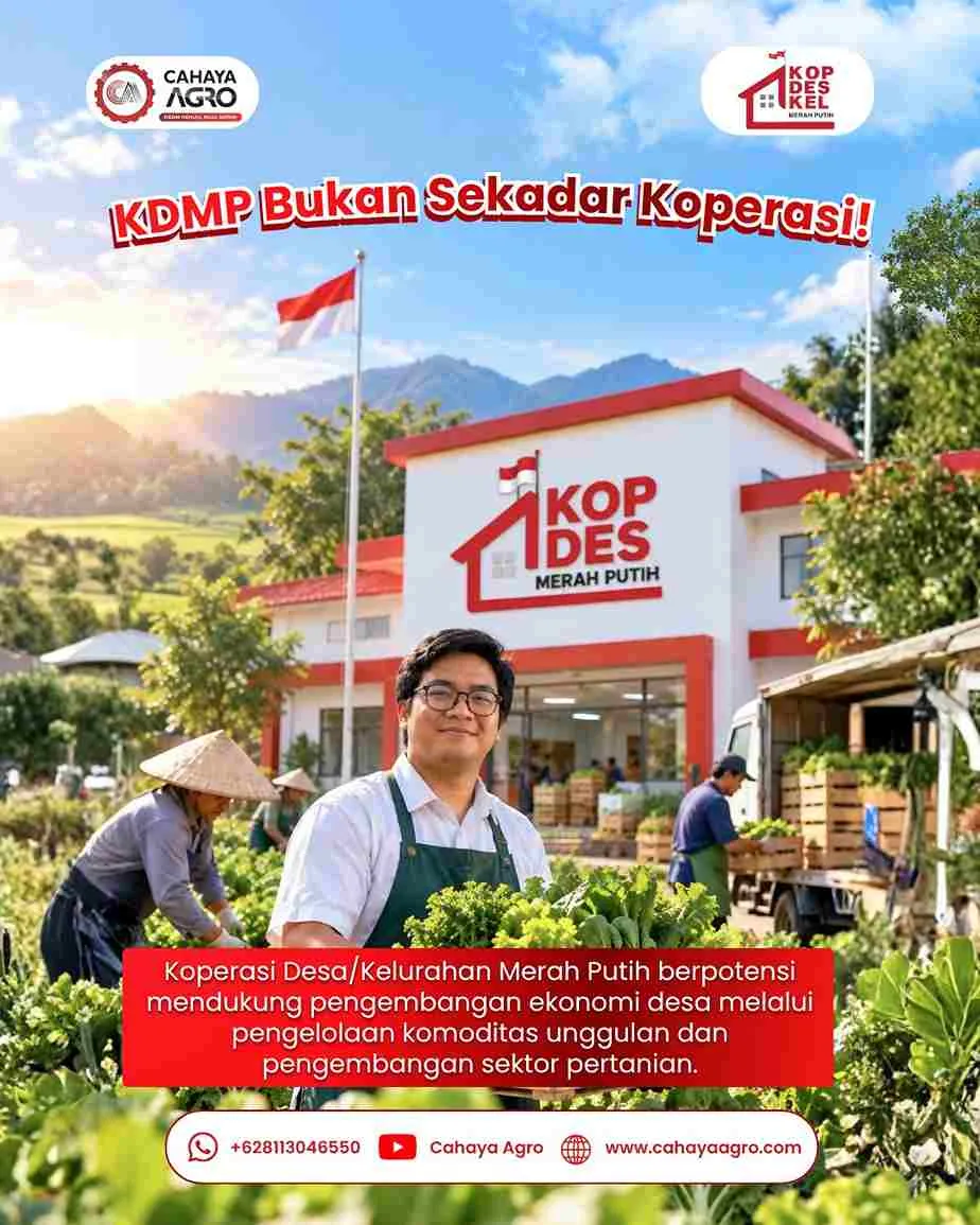 KDMP Bukan Sekadar Koperasi: Dorong Kemajuan Pertanian Desa dengan Dukungan Teknologi Tepat Guna